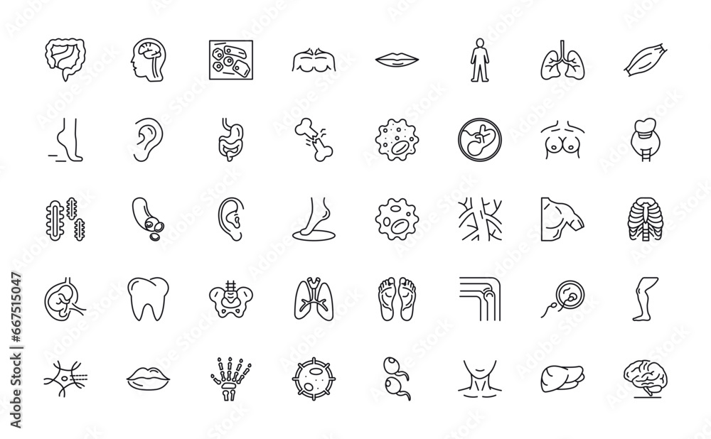 Grafika wektorowa Stock: outline icons set from human body parts ...