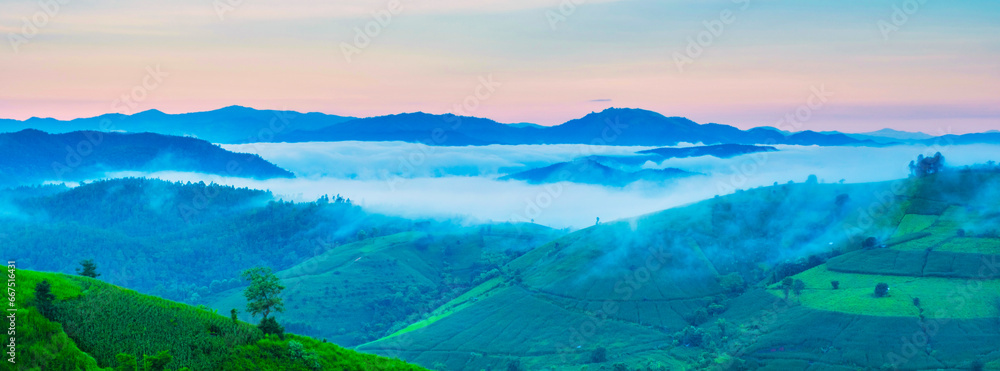 Naklejka premium Terraced Rice Field in Chiangmai, Thailand, Pa Pong Piang rice terraces, green rice paddy fields during rain season during sunrise with mist and foggy clouds