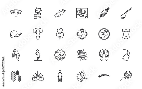 Stampa su tela outline icons set from human body parts concept