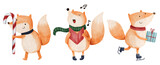 Fox with christmas costume . Watercolor paint cartoon characters . Isolated . Set 4 of 7 . Vector .