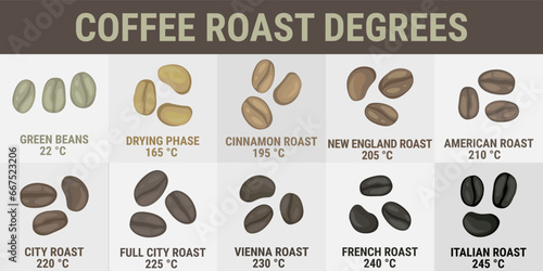 Coffee roast degrees. Vector infographics - coffee beans of different colors with roasting temperatures. Types of coffee: green, dried, cinnamon, new england, american, city, vienna, french, italian