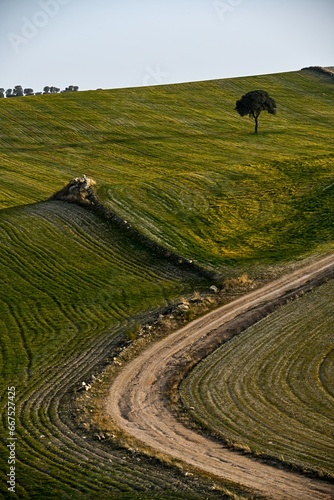 Path of the cereal pasture of the Sierra Oriental in Granada - Spain. photo