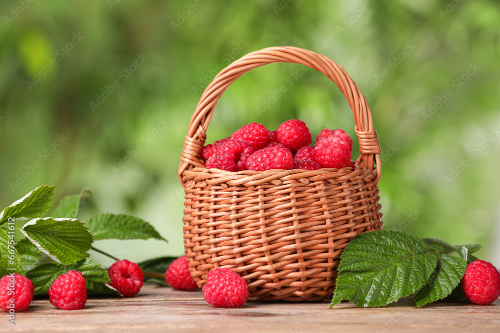 Wicker basket with tasty ripe raspberries and leaves on wooden table against blurred green background Wicker basket with tasty ripe raspberries and leaves on wooden table against blurred green background
