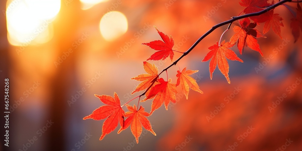 Generative AI : Beautiful autumn landscape.Colorful foliage in autumn.