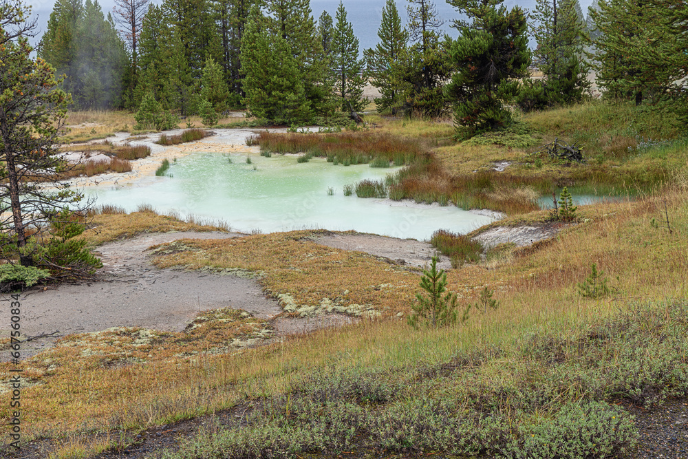 View of the Thumb Paint Pots in the West Thumb Geyser basin with the Yellowstone lake in the background View of the Thumb Paint Pots in the West Thumb Geyser basin with the Yellowstone lake in the background