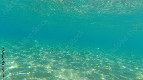 Underwater world on Crete in October 2023 © Alexander