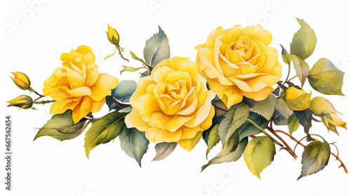 yellow roses bunch watercolor painting on white background for floral delightful wedding card decoration