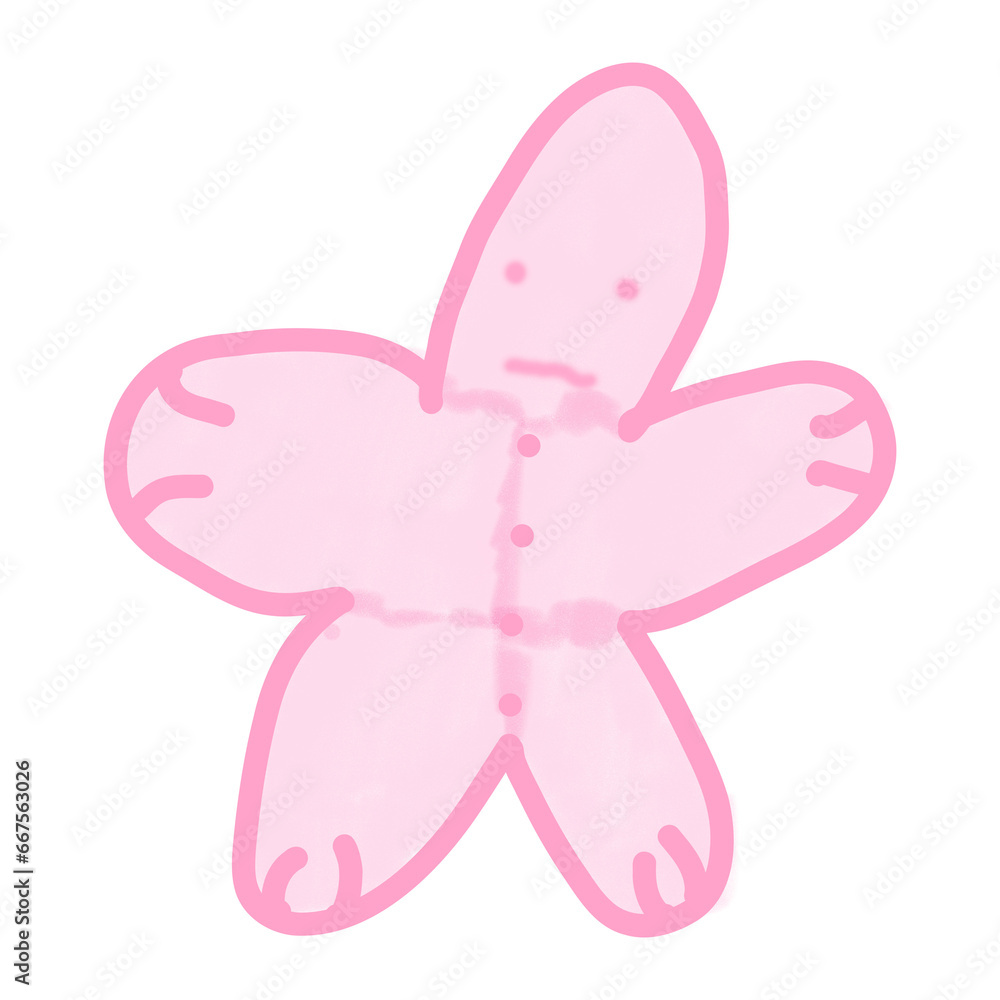pink butterfly star fish sea animal pink butterfly star fish sea animal