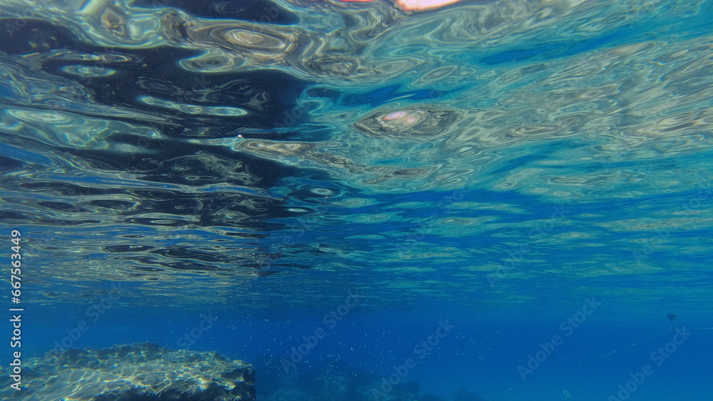 Obraz premium Underwater world on Crete in October 2023