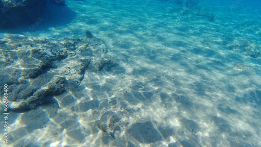 Fototapeta premium Underwater world on Crete in October 2023