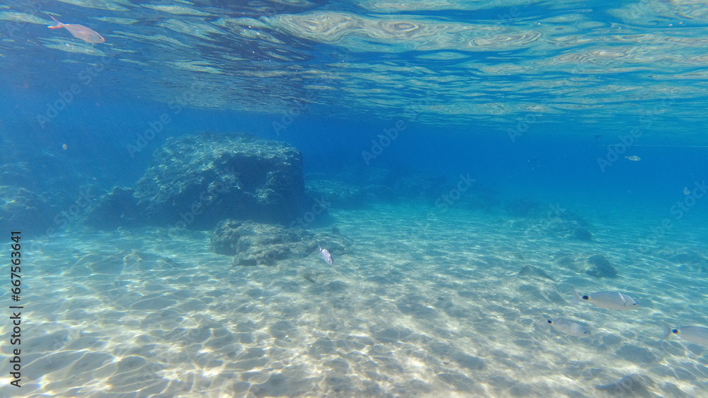 Underwater world on Crete in October 2023 Underwater world on Crete in October 2023