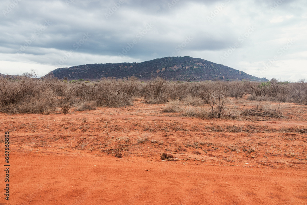 Savannah grassland landscapes with acacia trees and mountains in Tsavo East National Park, Kenya