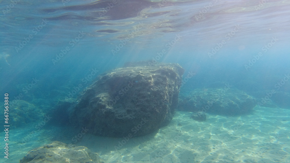 Underwater world on Crete in October 2023 Underwater world on Crete in October 2023