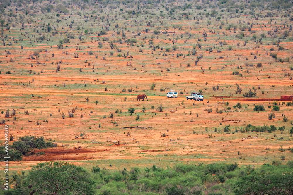 Fototapeta premium A herd of Elephants at a watering hole in Tsavo East National Park, Kenya