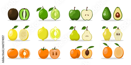 Large fruit set of kiwi, lime, apple, avocado, mango, lemon, pear, quince, orange, persimmon, apricot whole and cut in half