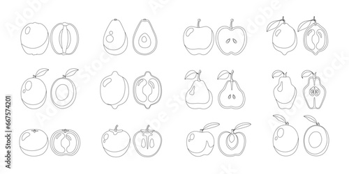 Large fruit coloring set for children made of kiwi, lime, apple, avocado, mango, lemon, pear, quince, orange, persimmon, apricot whole and cut in half