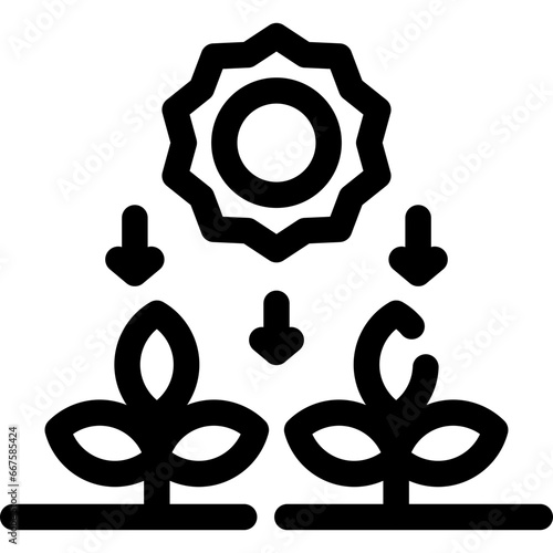 Photosynthesis Icon