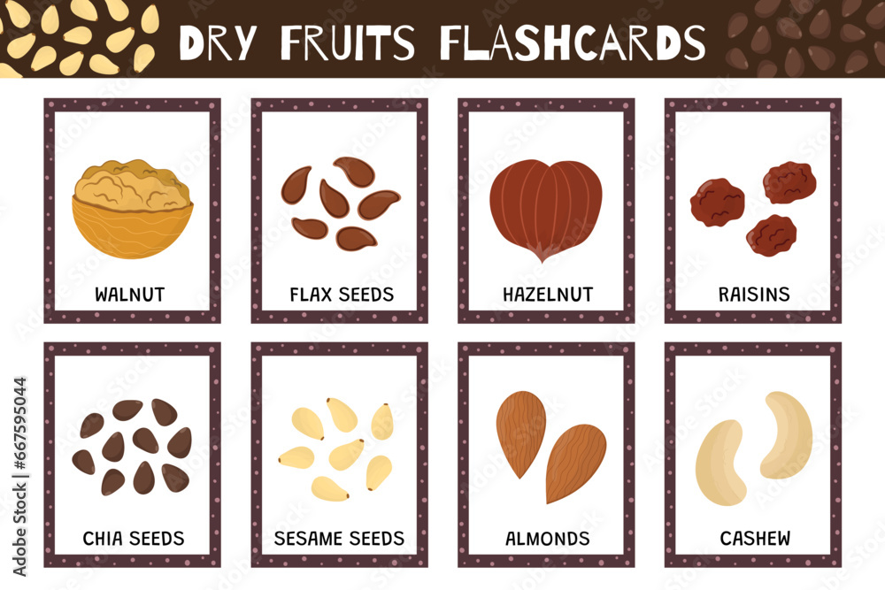 Dry fruits flashcards collection. Flash cards for practicing reading skills. Learn food vocabulary for school and preschool. Walnut, hazelnut, almonds and more. Vector illustration
