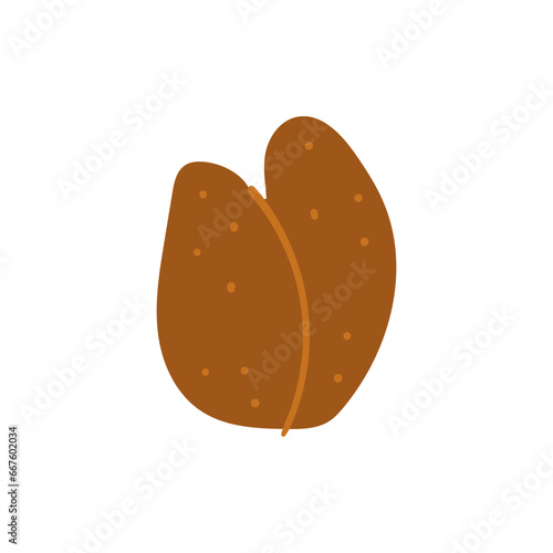 Spice ingredient food aroma herb