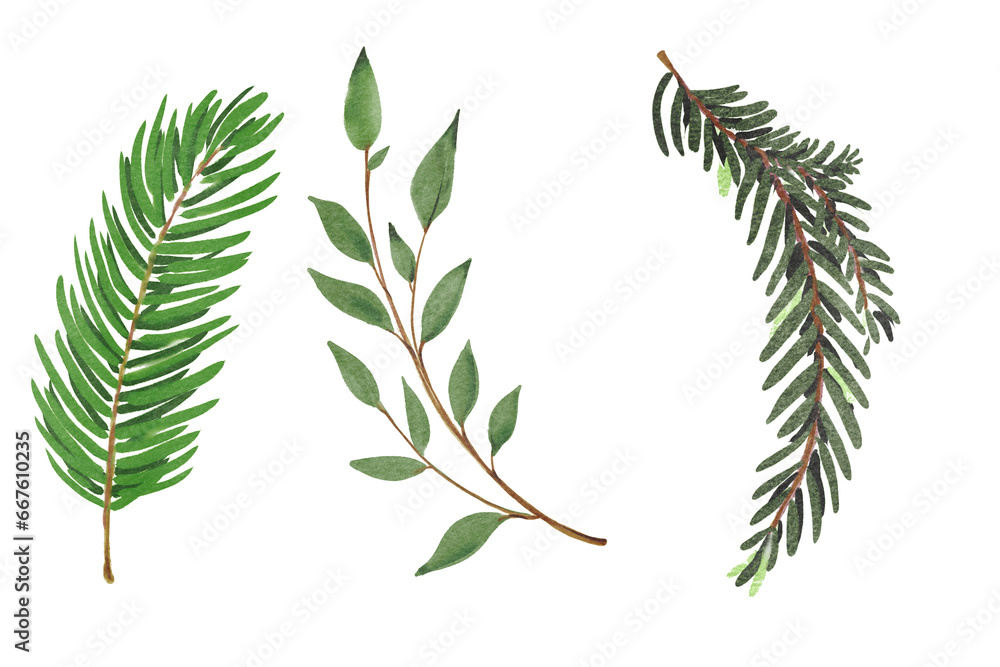 christmas leaf holly leaves and berries branch of rowan tree christmas leaf holly leaves and berries branch of rowan tree
