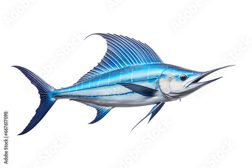 Swordfish Isolated on transparent background, PNG