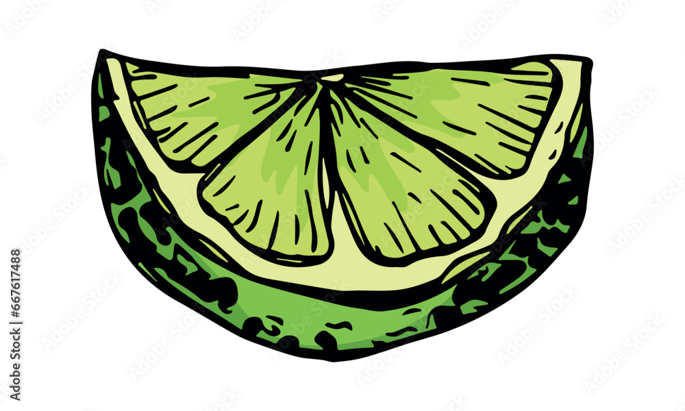 Vector lime clipart. Hand drawn citrus icon. Fruit illustration. For print, web, design, decor