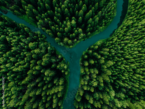 Aerial view of green woods with tall pine trees and blue bendy river flowing through the forest