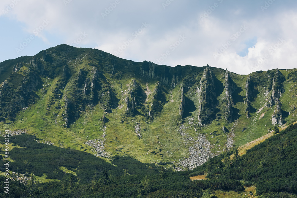 Fototapeta premium Summer day in the mountains. Mount Shpytsi, Chornohora, Carpathian Mountains