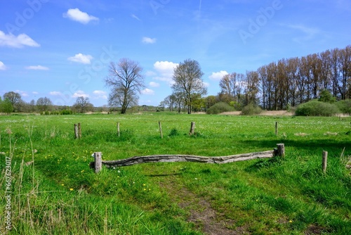 Scenic view of a green landscape in Wortel  Hoogstraten  Belgium