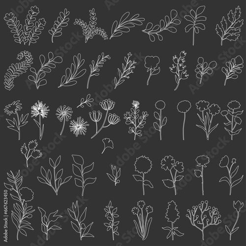 Set floral minimal elements in line art style.Flowers, greenery for decoration, wild and garden plants, branches, leaves. Vector illustration for logo, tattoo, wedding invitation