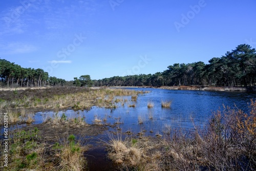 Scenic view of a pond in a green landscape in Wortel  Hoogstraten  Belgium