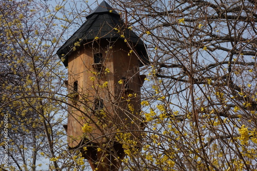 bird cage or bird house © elmar gubisch