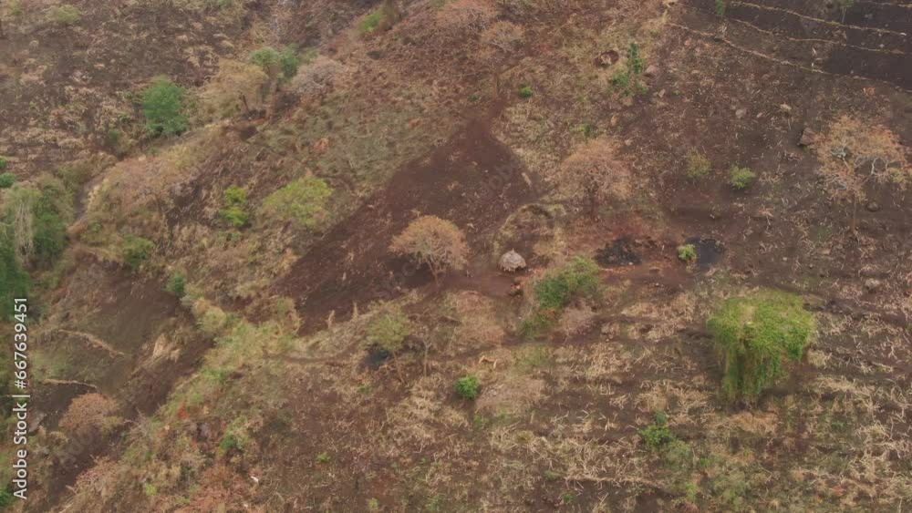 Rural and primitive hut in remote village of Tepes tribe, Uganda in Africa. Aerial drone view Rural and primitive hut in remote village of Tepes tribe, Uganda in Africa. Aerial drone view