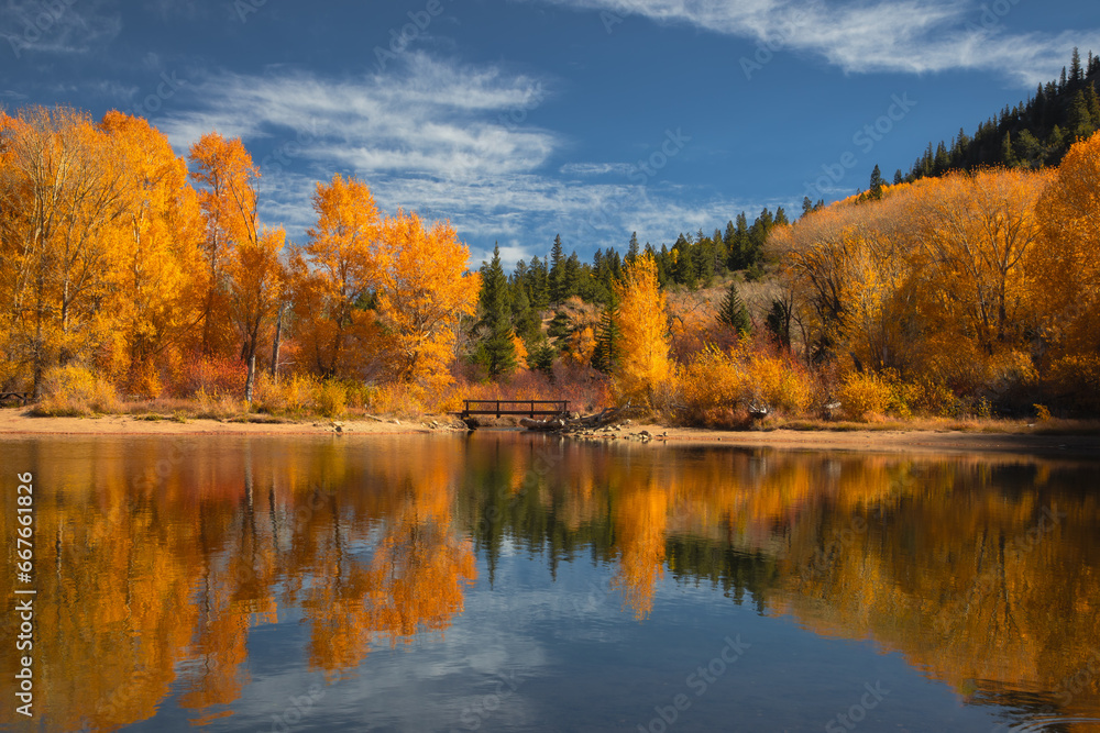 Colorado season change with aspen and elm color change in the Rocky Mountains. The variety of colors make it a beautiful background.