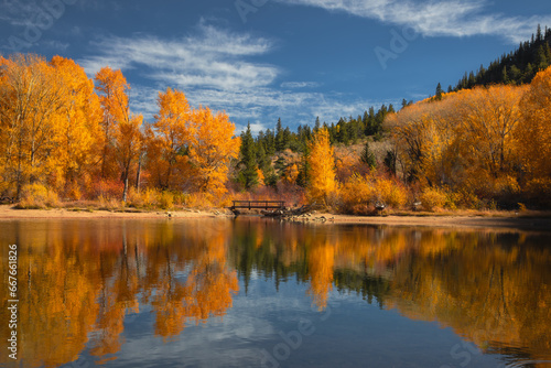 Colorado season change with aspen and elm color change in the Rocky Mountains. The variety of colors make it a beautiful background.