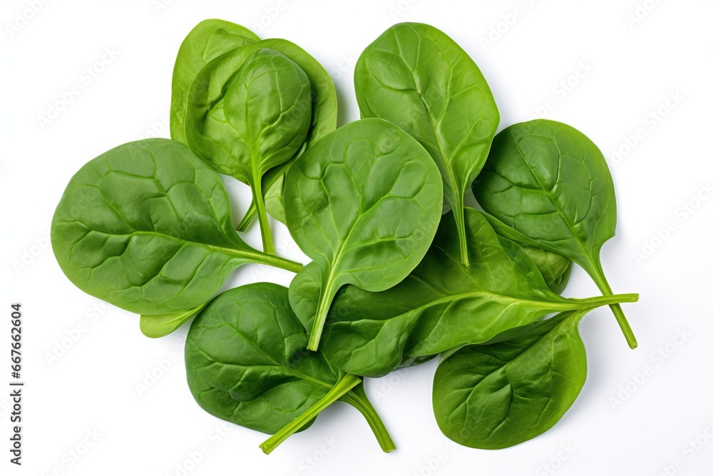Fresh spinach on white background Fresh spinach on white background