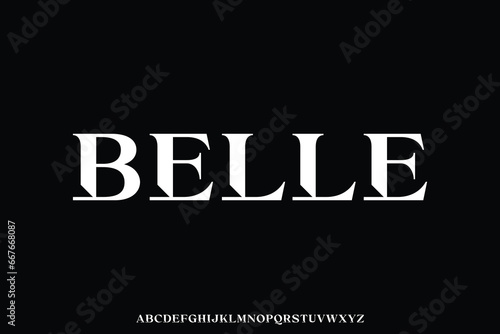 Unique decorative serif alphabet display font vector. Elegant typography style