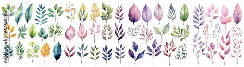 Set of Watercolor leaves and branches, fall leaves illustration transparent background, PNG