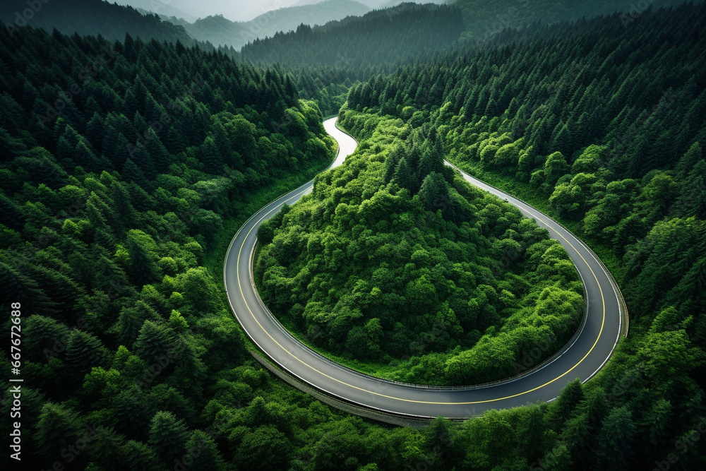 Top view of beautiful curved road in the tall tree forest. - obrazy, fototapety, plakaty 