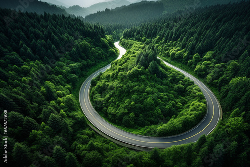 Top view of beautiful curved road in the tall tree forest.