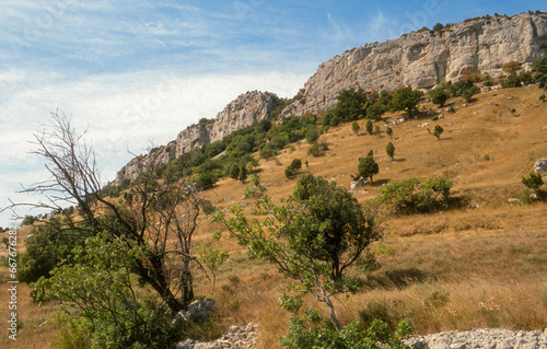 Falaises du Gard, Fons sur Lussan, 30, Gard, France