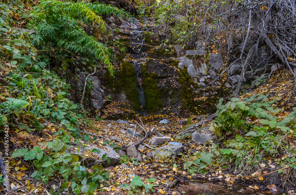 mineral spring near Sandy Pass trail on Chimgan mountains (Bostanliq district, Tashkent region, Uzbekistan) mineral spring near Sandy Pass trail on Chimgan mountains (Bostanliq district, Tashkent region, Uzbekistan)