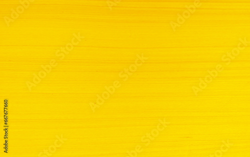 Vector realistic light wood texture. Yellow clear wood background. Empty wooden backdrop. Horizontal lines timber banner. 