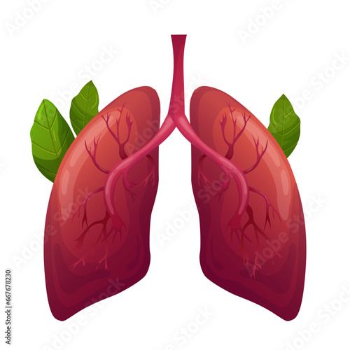 lung health day. vector. lung on white background