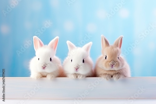 a group of cute rabbits Happy Easter banner with copy space