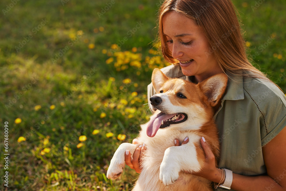 young girl hugging pembroke welsh corgi in the park in sunny weather, happy dogs concept young girl hugging pembroke welsh corgi in the park in sunny weather, happy dogs concept