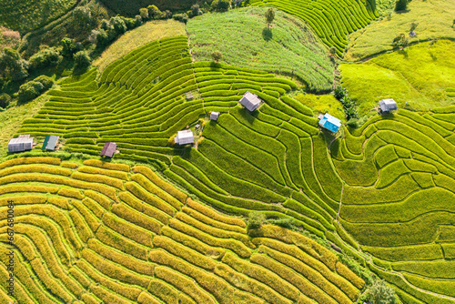 Obraz na płótnie Top view of rice terrace in Pabongpiang Chiang Mai, Thailand