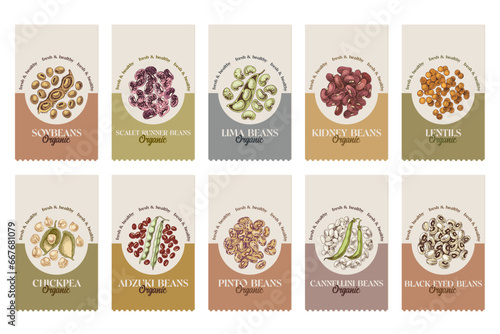 Hand drawn legumes vector set
