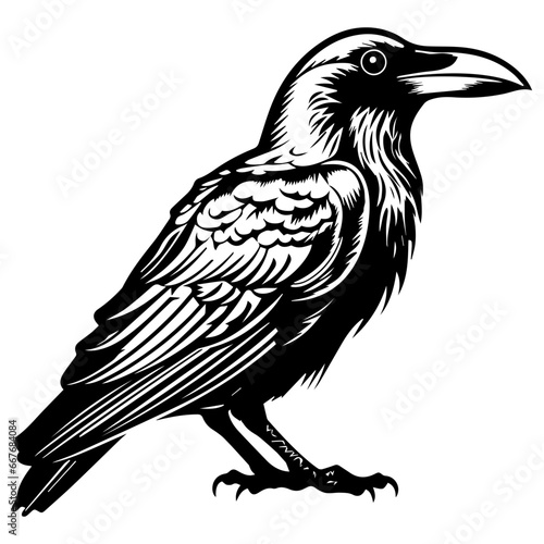 black raven bird in different poses cartoon crow design flat vector animal illustration isolated on white background.