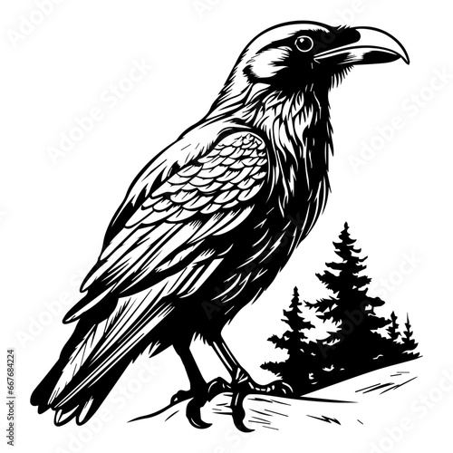 black raven bird in different poses cartoon crow design flat vector animal illustration isolated on white background.